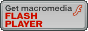 Téléchargez Macromedia Flash Player